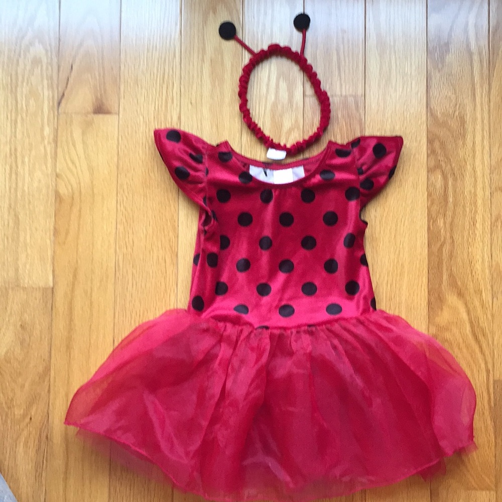 Ladybug Halloween costume 18-24 months